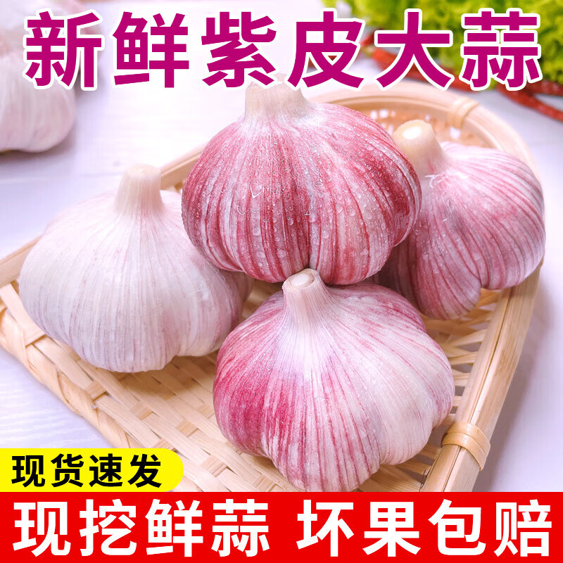 荆品名门紫皮大蒜干湿混装生鲜蔬菜大头蒜腌制（非冷库大蒜） 3斤