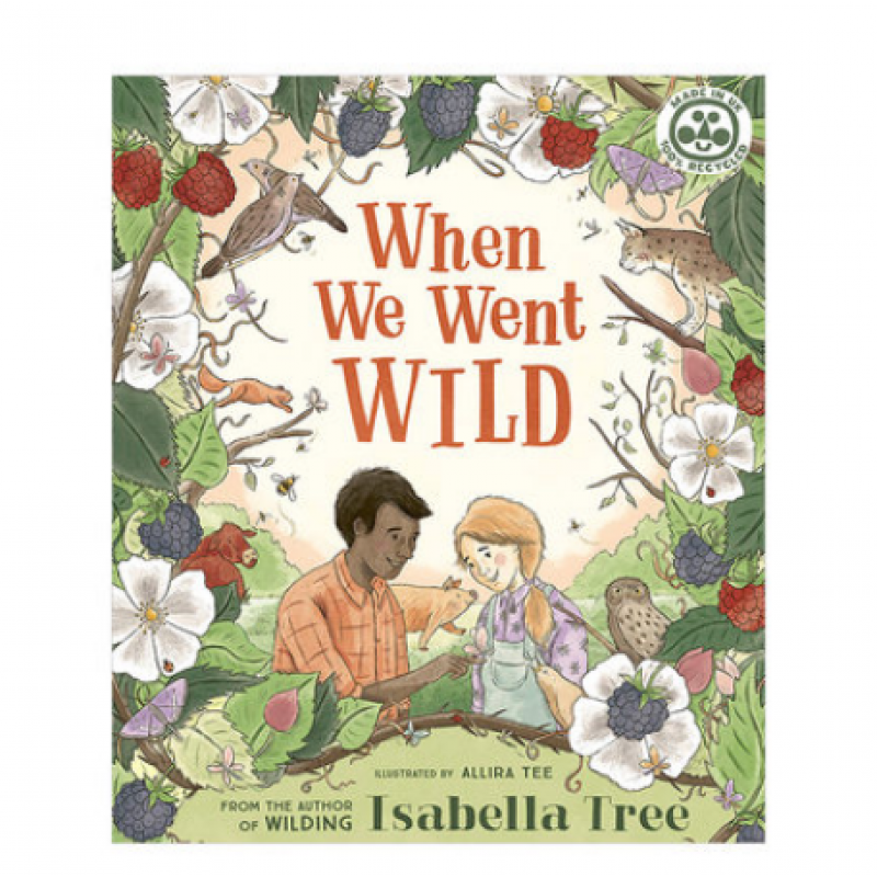 预订英文原版 当我们到野外 when we went wild儿童自然环保故事艺术