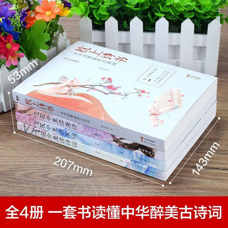【严选】枕上诗书完整版 全套飞花令里读诗词中国古诗词大全古风书籍 全套4册中国古诗词文化大赏