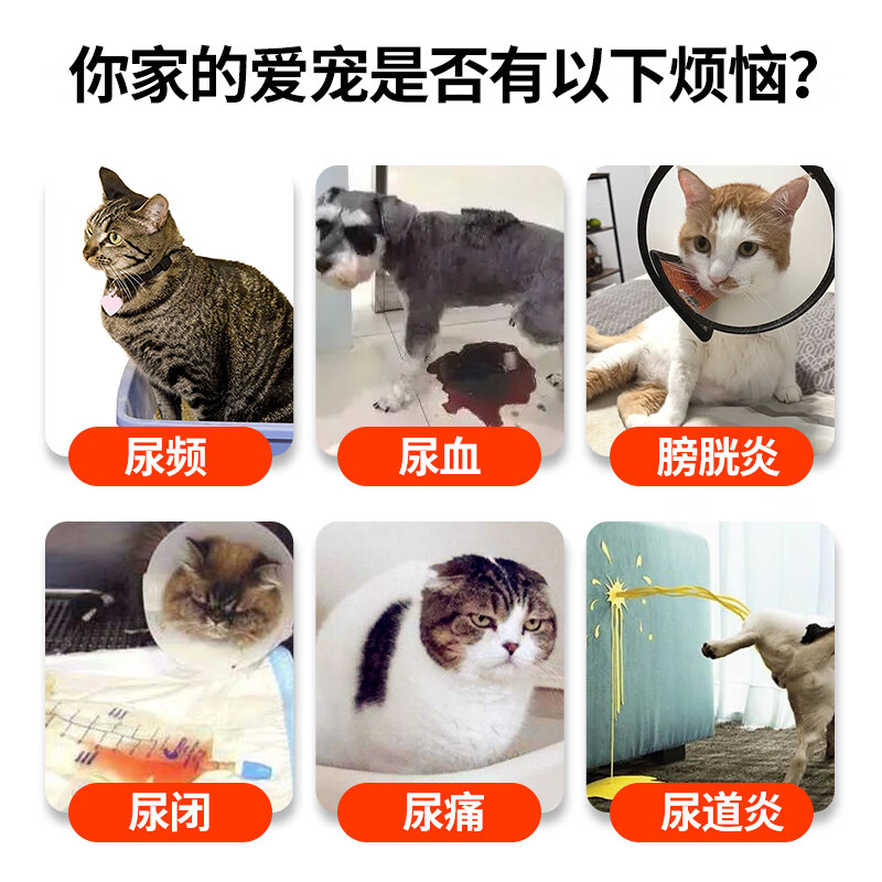 【顺丰当日发】球球石林通猫咪狗狗利尿排石尿结石膀胱炎泌尿道感染尿血尿频石淋通 石林通猫狗通用 【顺丰包邮】石林通发空运