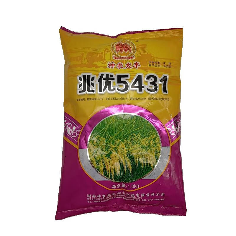 兆优5431一代杂交水稻种子谷种品种一季稻籼型中稻品种 兆优5431水稻