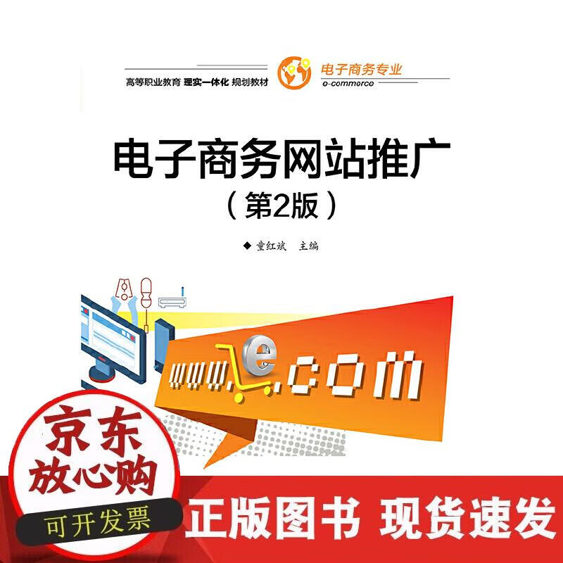 【正版现货】电子商务网站推广（第2版）