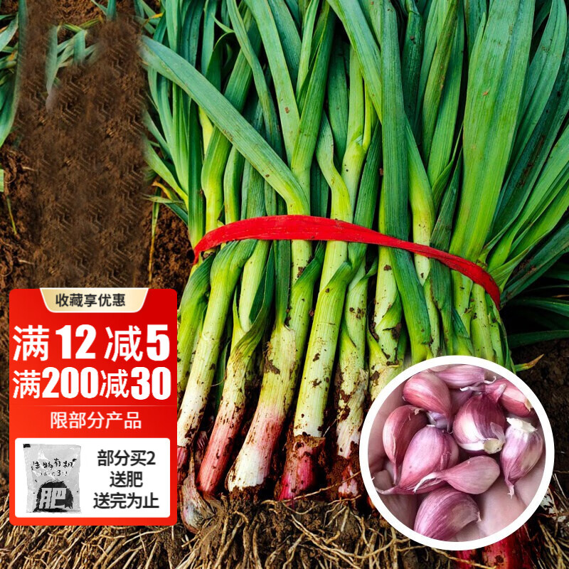 近期蔬菜类的价格走势|蔬菜类价格走势图