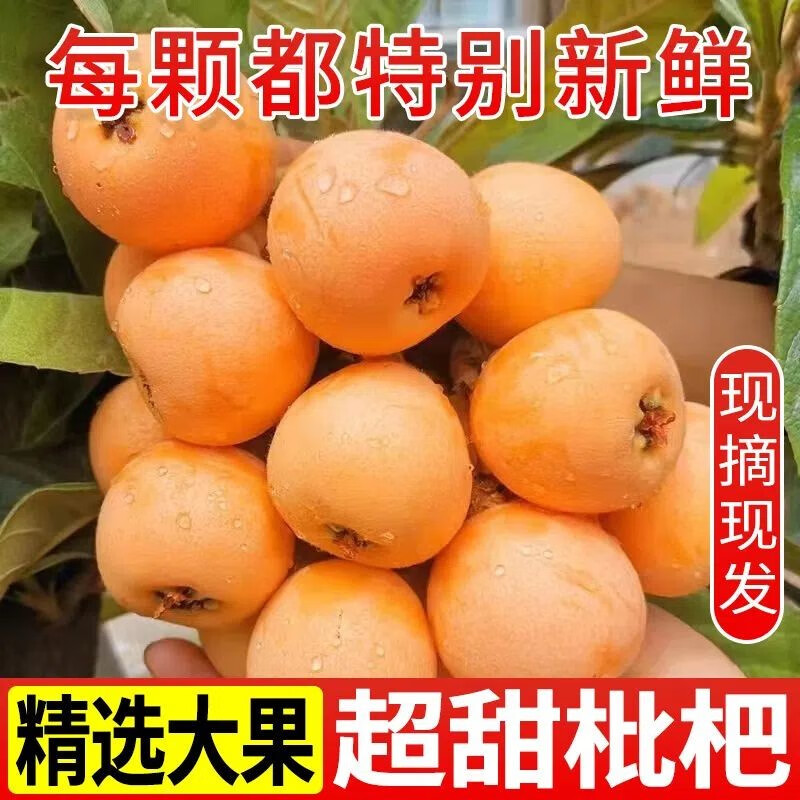 京东看枇杷历史价格曲线|枇杷价格走势