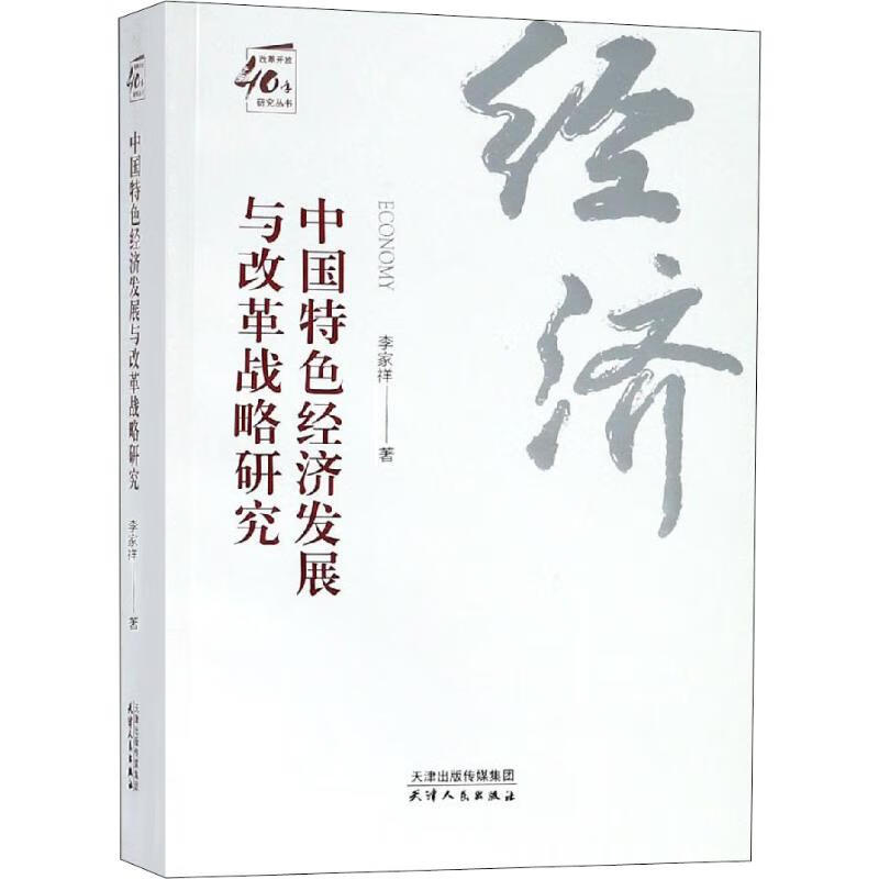中国特色经济发展与改革战略研究