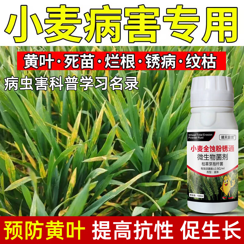 小麦纹枯病专用药小麦白粉病锈病根腐病黑粉病病毒病赤霉病农药 100g*