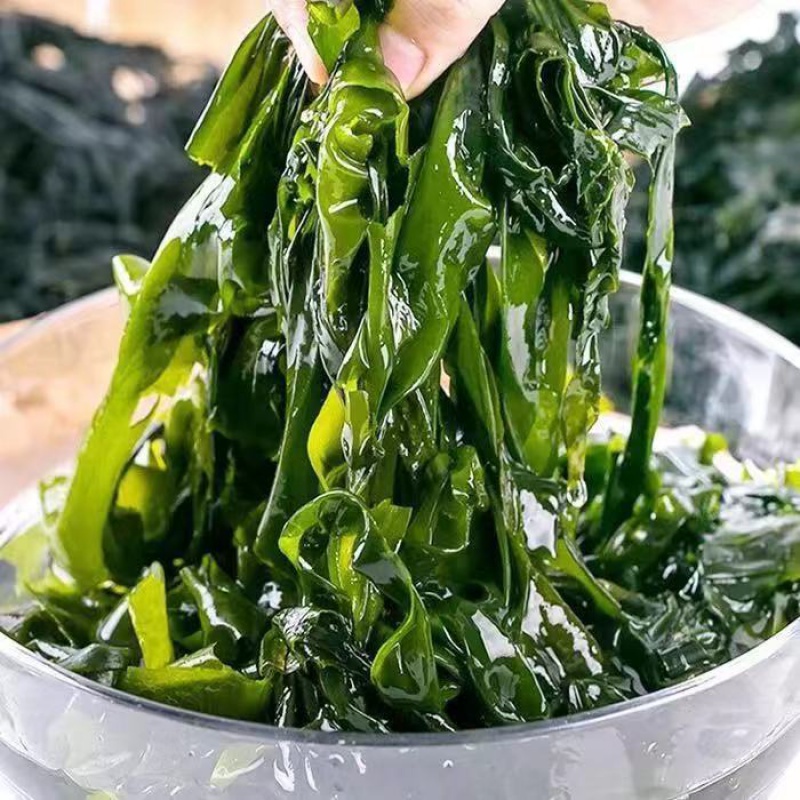 金增盐渍裙带菜大连特产5斤裙带菜凉拌菜海带海白菜火锅食材批发