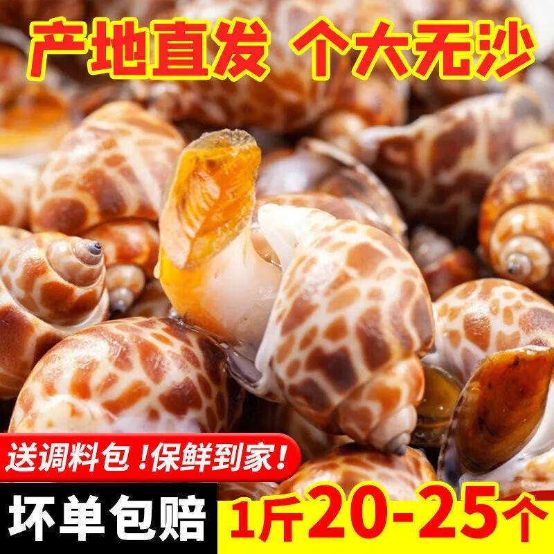图安贝里8斤花螺鲜活速冻东风螺香螺海螺海猪螺2斤海鲜水产 2000g 鲜
