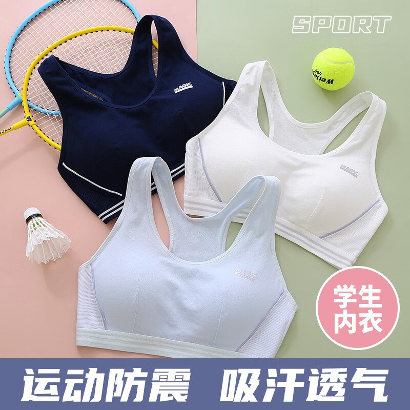 京东少女文胸如何查看历史价格|少女文胸价格比较
