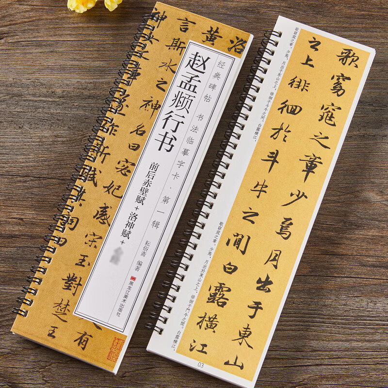 赵孟俯洛神赋前后赤壁赋行书毛笔书法字帖赵孟頫赵体经典碑帖书法临摹字卡近距离对临原大版附简体旁注