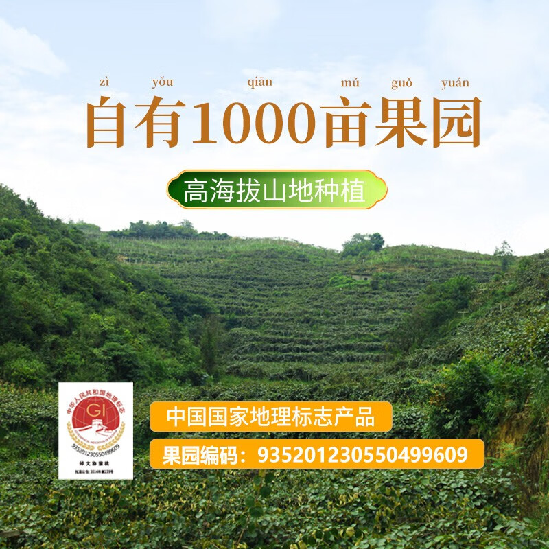 田园东方 ORIENT IDYLL贵州修文贵长绿心猕猴桃(放软食用) 新鲜应季水果 奇异果 15枚(50-70)通用装