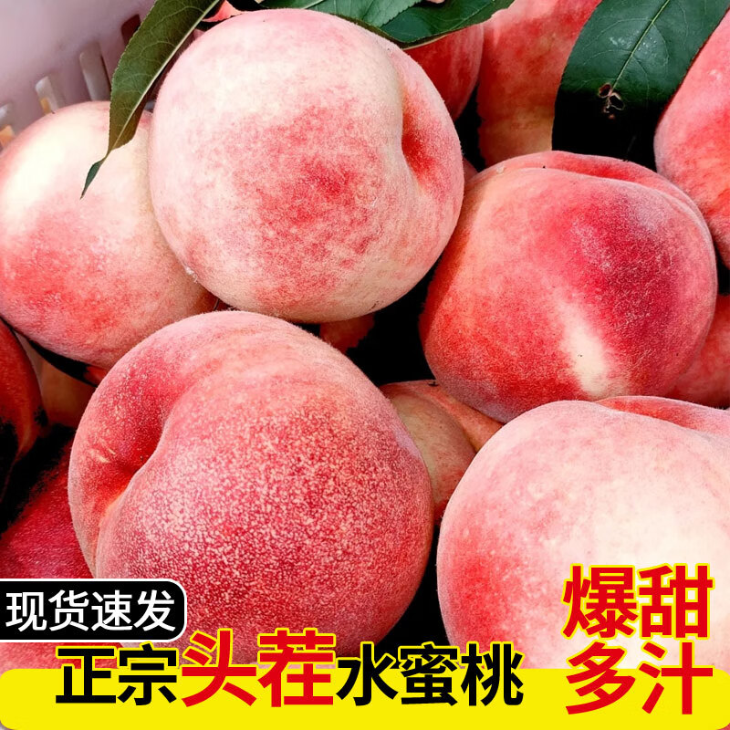 桃行情价格走势图|桃价格比较