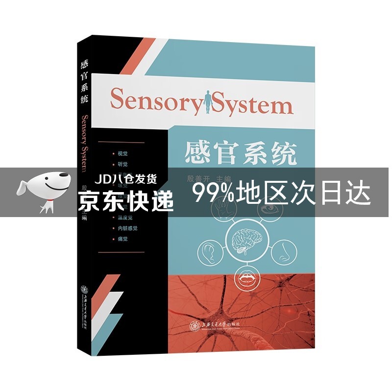 感官系统