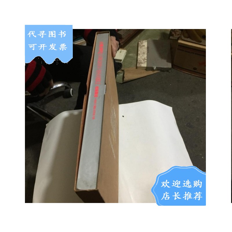 【二手八成新】百变辣妈2 绚丽集结:中国子摄影客片集