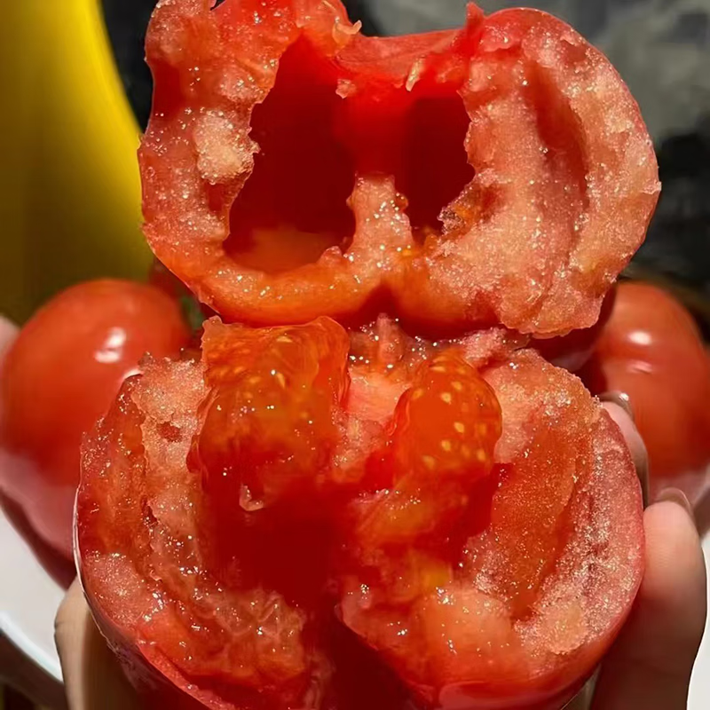 秦品堂陕西泾阳普罗旺斯西红柿【顺丰包邮】生吃沙瓤番茄西红柿自然熟 普罗旺斯中果 5斤 (中通,极兔)