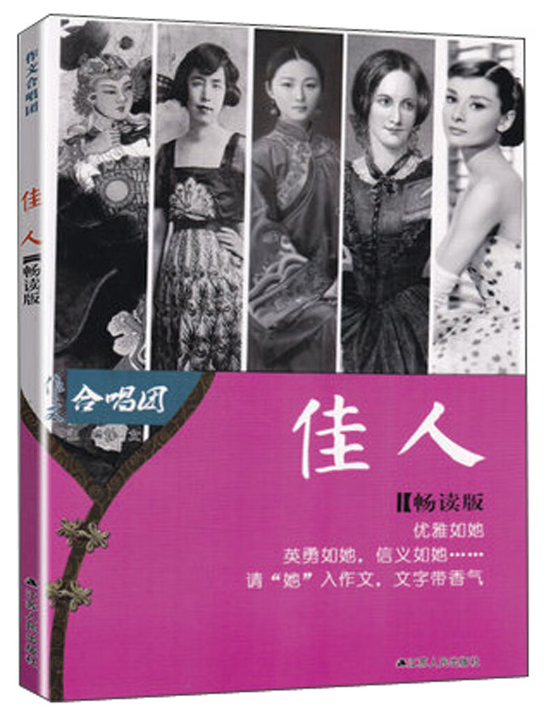 佳人(畅读版)【正版好书】