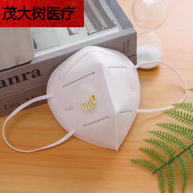 带呼吸阀kn95口罩一次性立体防尘防飞沫透气男女通口罩冬 10只5层防护