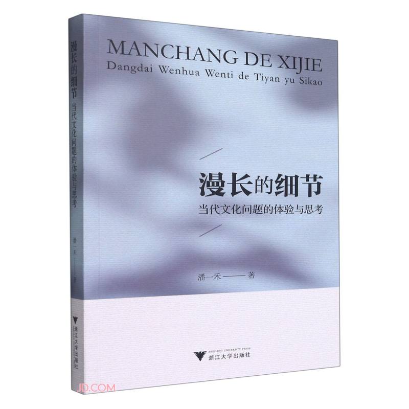 漫长的细节：当代文化问题的体验与思考