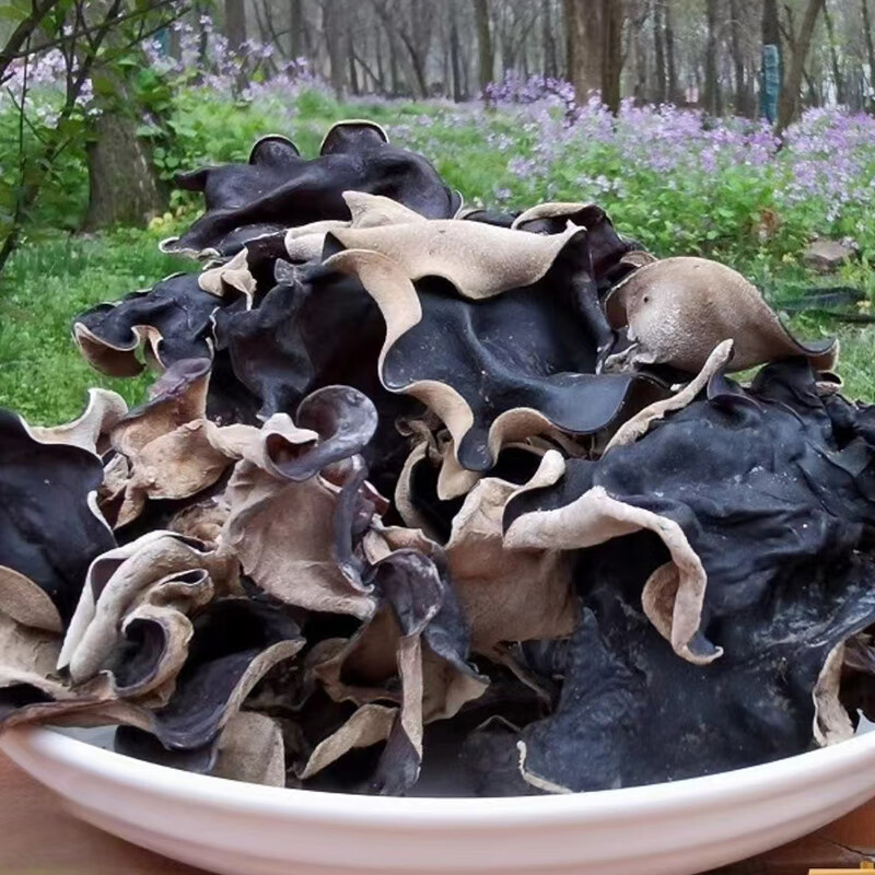 木耳 云南野生黑木耳南北干货火锅食材菌菇小木耳 【大片毛木耳】250
