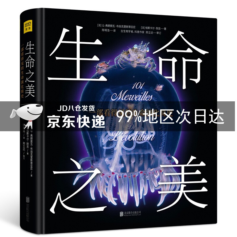 生命之美 生命之美