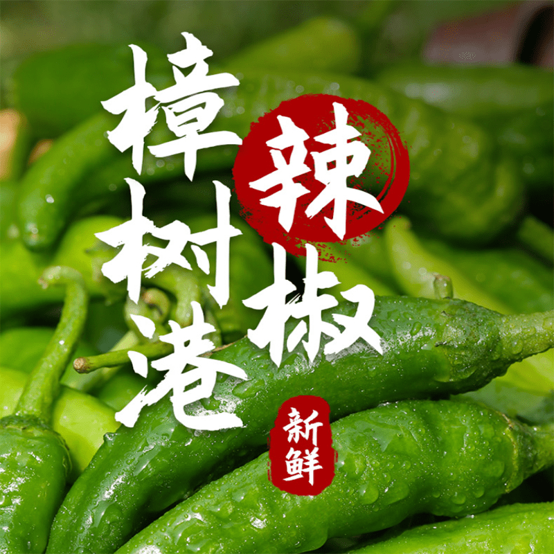 骄瑰正宗樟树港新鲜辣椒椒农自种精品新鲜现摘湘菜下饭菜湖南湘阴特产