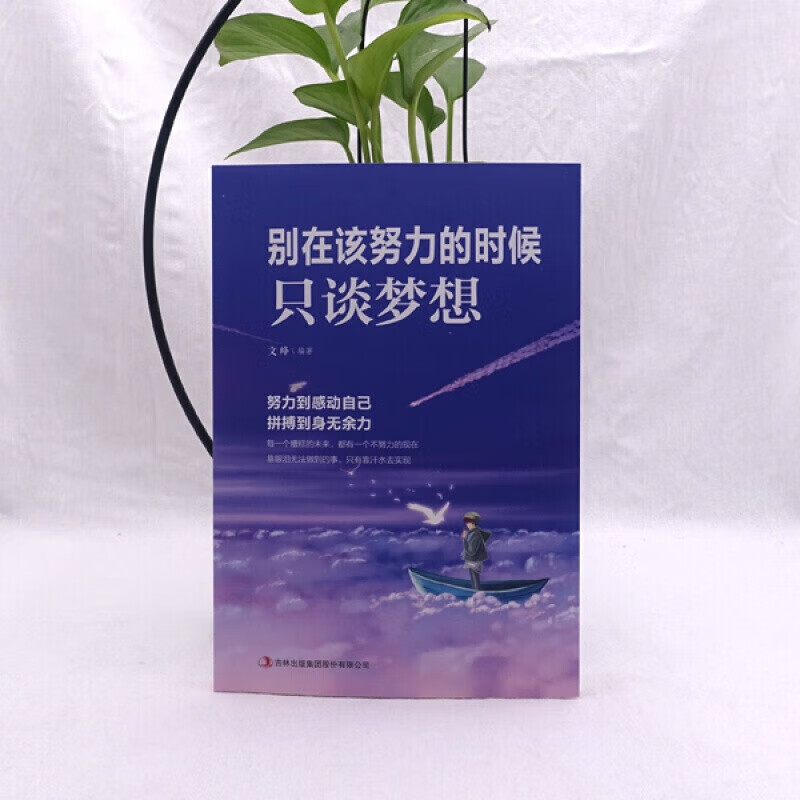 【严选】别在该努力的时候只谈梦想    青春文学，自我提升书籍 默认规格