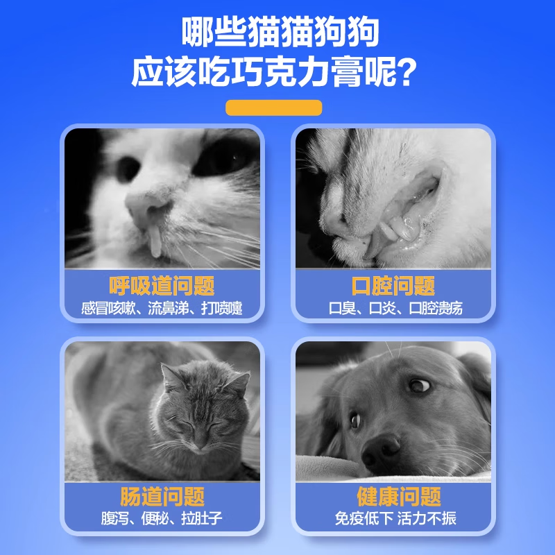 康恩尼巧克力膏猫咪营养膏宠物呼吸道营养补充感冒咳嗽康恩尼旗舰店 1支【尝鲜装约4天】无赠品