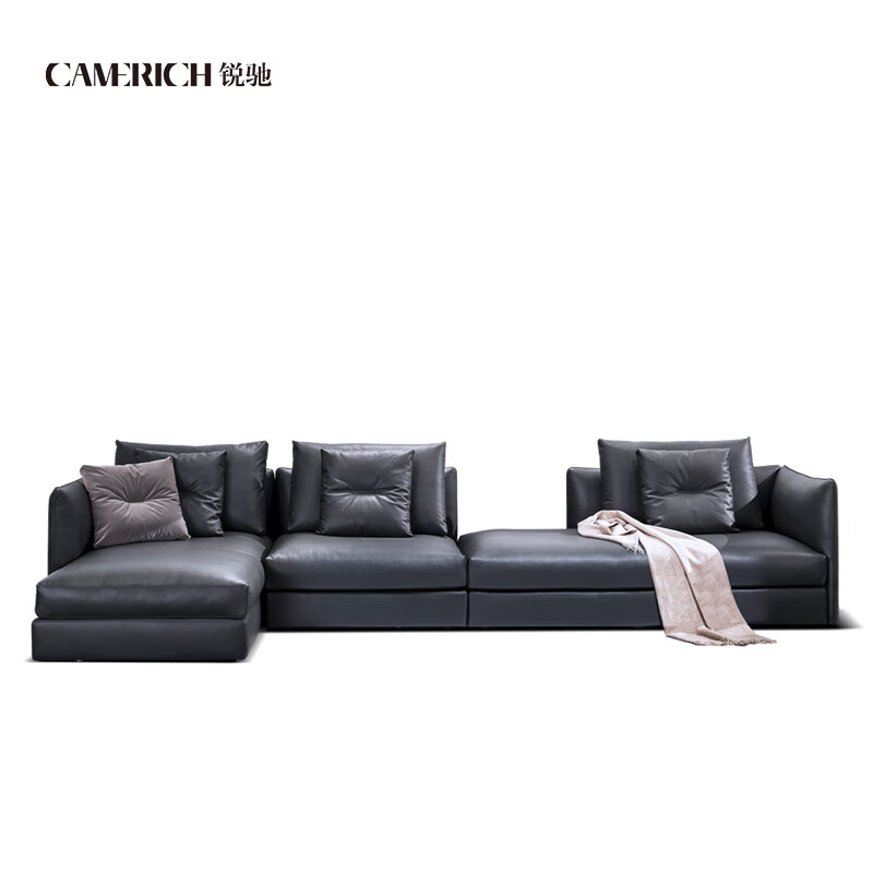 锐驰(camerich)实木沙发 现代轻奢 大户型适用 锐驰家具 bloom盛心 皮