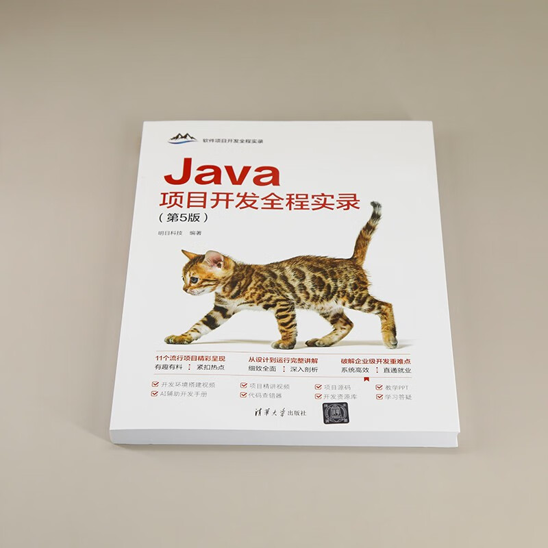 Java项目开发全程实录（第5版）（软件项目开发全程实录）