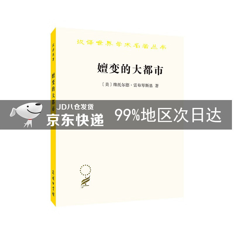 嬗变的大都市：关于城市的概念(汉译名著18)