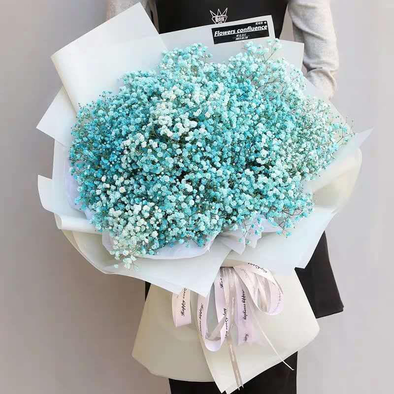 【满天星辰】精品满天星同城鲜花速递生日礼物全国花店送花上门 蓝色