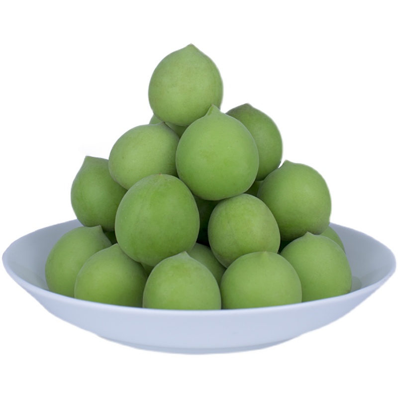 源外园【现货】诏安青梅果新鲜大果现摘青梅泡酒酵素酸脆梅酸水果5斤