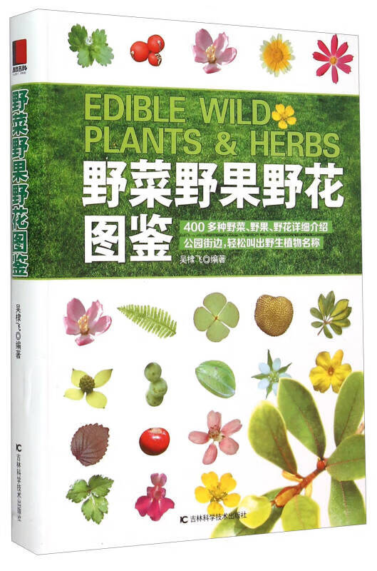 野菜野果野花图鉴【精选】