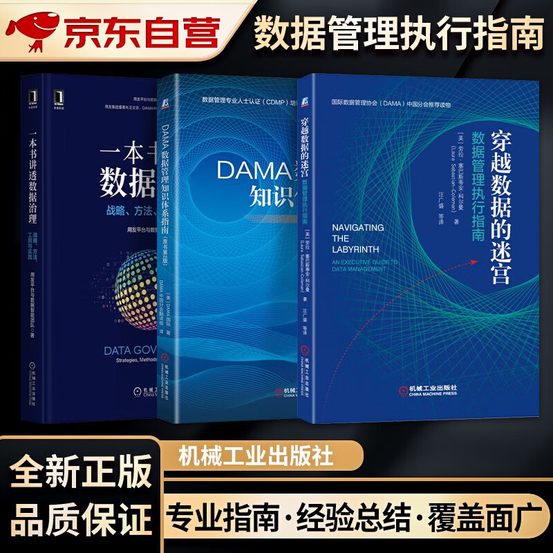 DAMA数据管理知识体系指南（原书第2版）+穿越数据的迷宫：数据管理执行指南+一本书讲透数据治理：战略、方法、工具与实践3本