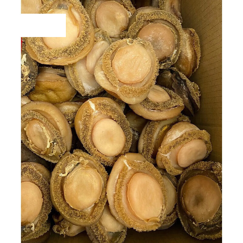 味巴哥3头鲍 南非特级大鲍鱼海鲜干货鲍鱼干 500g特大干鲍鱼