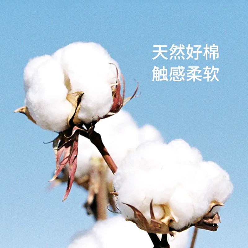 珂莱藻堂棉签掏耳朵成人双头化妆木棒棉棒 500支/盒±5%