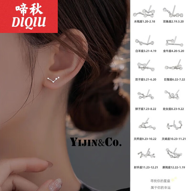 s925银十二星座系列耳钉女小巧精致养耳洞百搭耳环耳饰潮生日 水瓶座