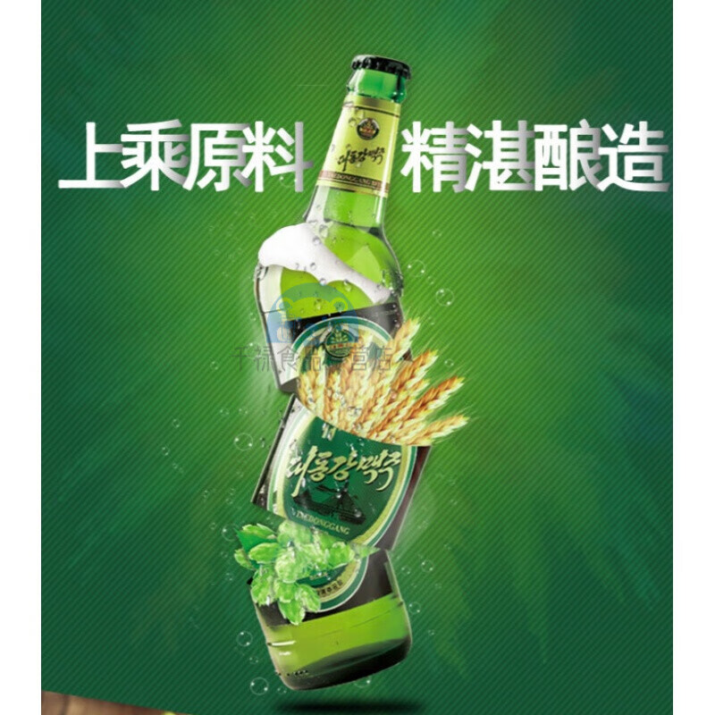 朝鲜 大同江啤酒黑2号 黄啤酒 拉格朝鲜特产 原装进口500ml*6瓶装 黑2号6瓶