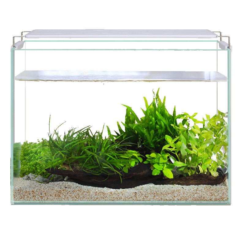 ���ڲ�����YEE��׽𾧳��׽������8060���ÿ�������С�ݸ׹�ײ�����̬Ϫ���� �Ƽ����ͻ���¥��6mm*60*30*35���ײ���