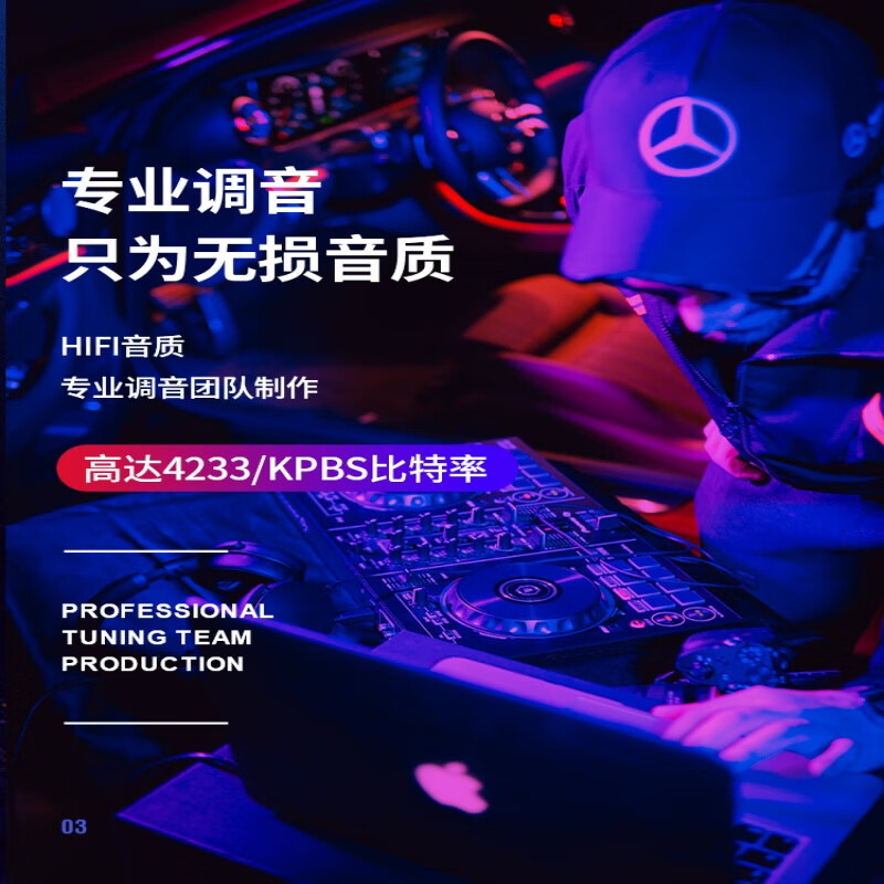九头鸟车载2024原声无损高品质汽车载u盘歌曲抖音热歌wav优盘 调音师一对一定制套餐*专属定制 wav格式拍下请留言：年份车型