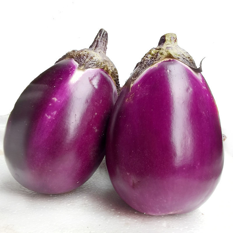 【现摘现发】湖南浏阳本地紫色圆茄子农家自种土茄子新鲜应季蔬菜 3斤