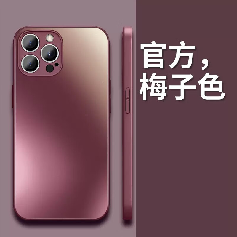 【精选】适用iPhone15Pro磨砂玻璃手机壳全包苹果16硅胶边精孔防 梅子色（1个装） iPhone12Pro