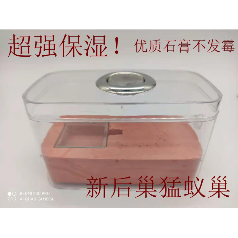 蚂蚁活体饲养巢穴1270石膏平面巢猛蚁巢新后巢超长保湿石膏蚂蚁巢