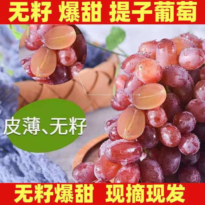鹏翔宇【顺丰包邮】正宗山西克伦生无籽红提葡萄脆甜一整箱新鲜孕妇水果 净重2斤克伦生【尝鲜装】