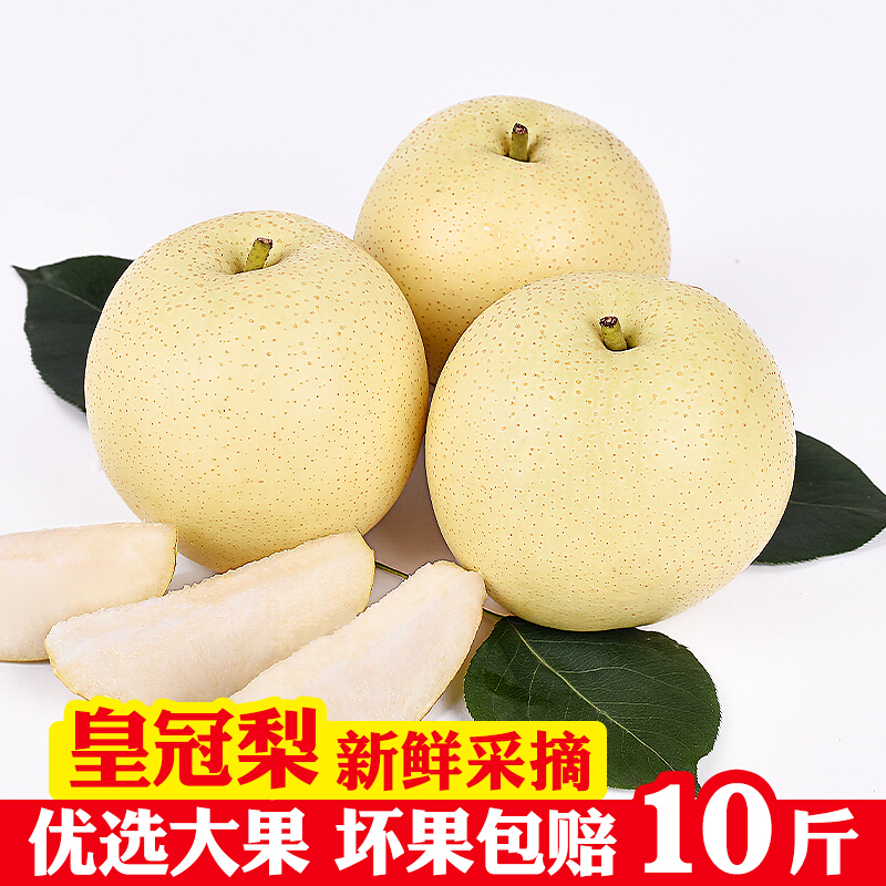 皇冠梨整箱当季河北梨子现摘酥脆香甜水果梨应季雪梨 5斤 大果