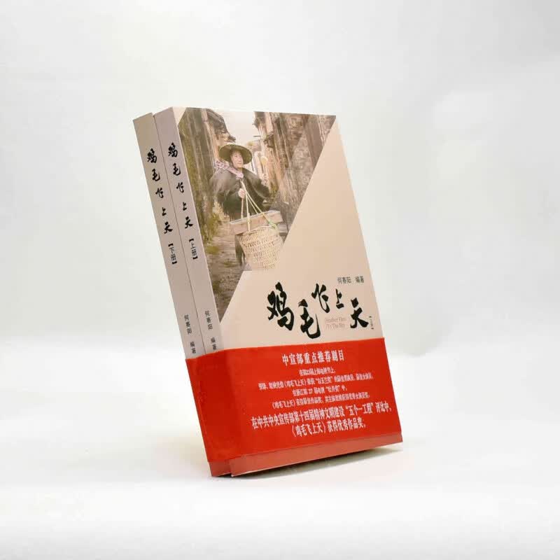 有货 正版 鸡毛飞上天上下册同名影视原著小说 何赛阳著 出版社: 浙江人民出版社ISB