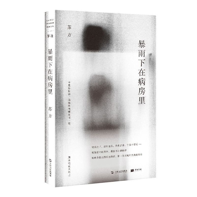 暴雨下在病房里 单读系列苏方短篇小说集收录上海文艺出版社现当代文学 另著一些时刻 异乡记 书籍上海文艺出版社