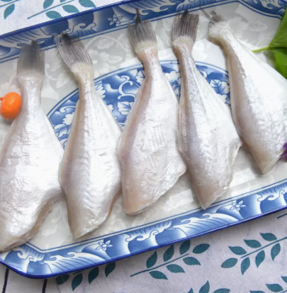 果亦橙新鲜小耗儿鱼4斤剥皮鱼小扒皮鱼新鲜速冻马面鱼海鱼新鲜冷链 新