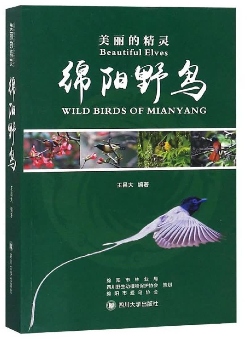 美丽的精灵：绵阳野鸟