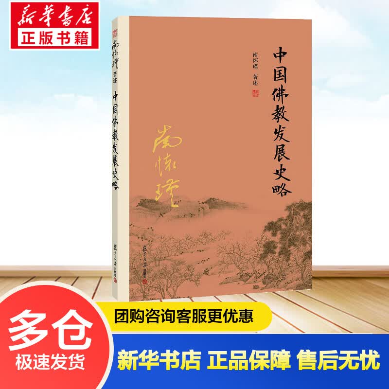 中国佛教发展史略 南怀瑾 述 书籍